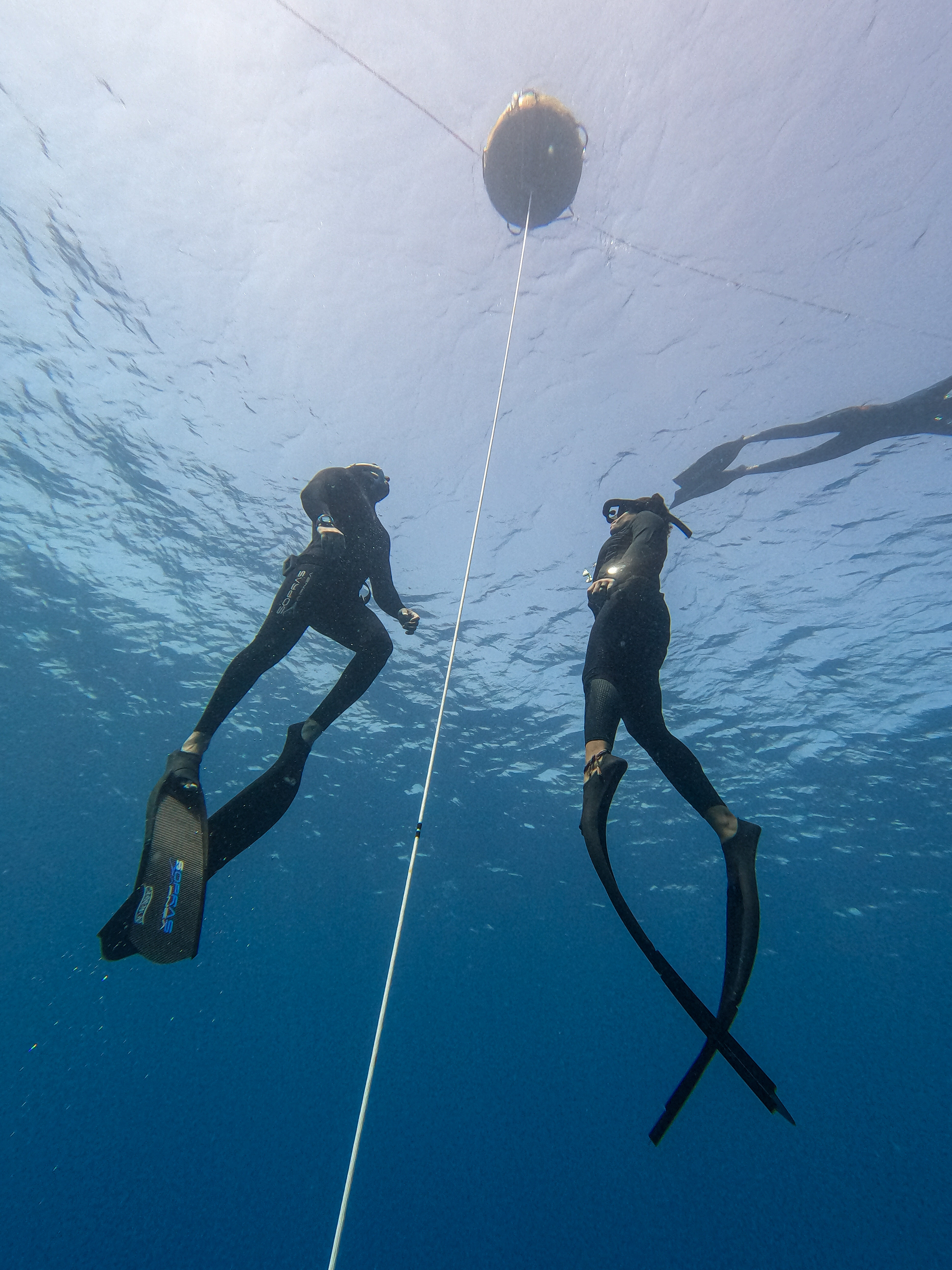 Dahab AIDA 1 Course